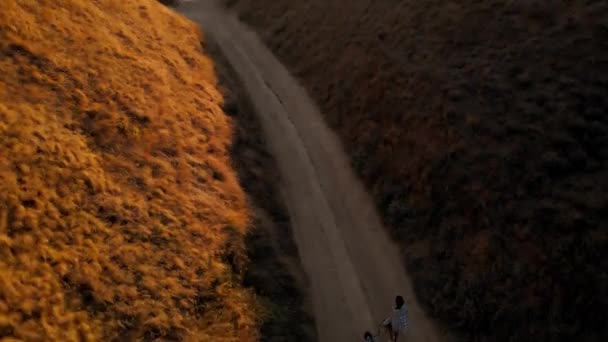 トップビュー航空写真女性はウェッシュ コーギー ドッグと日没時に渓谷を歩く 自然の中で冒険を楽しむ美しい喜びの人々 クリップにはノイズが — ストック動画