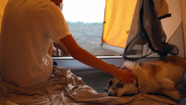 Vrouw Oranje Campingtent Bewondert Zonsopgang Met Haar Corgi Hond Reiskamp — Stockvideo