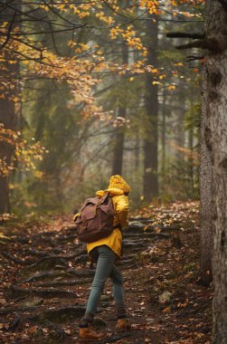 Sisli ormanda ağaçların rhizomu üzerinden yürüyen parlak sarı elbiseli sırt çantalı bir kadının karamsar sinema sahnesi.