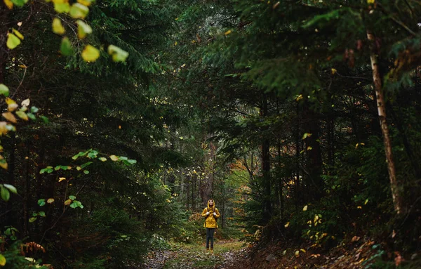 全景电影形象的深沉闷热的黑暗森林与孤独的远足女孩黄色雨衣 — 图库照片