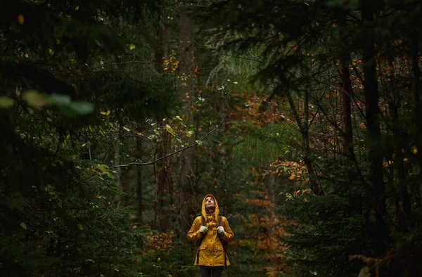 Mujer Excursionista Relajante Los Bosques Verdes Dramática Imagen Panorámica Cinematográfica — Foto de Stock
