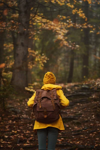 Nainen Pimeässä Metsässä Yllään Keltainen Sadetakki Reppu Katselee Poispäin Kamerasta — kuvapankkivalokuva