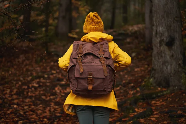 카메라는 여자를 가방을 비옷을 여행자를 합니다 가을에 속에서 배낭을 등산하는 — 스톡 사진