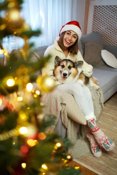 Lystig Kvinne Santa Hat Med Hunden Sin Corgi Stua Som – stockfoto