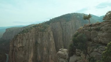 Türkiye 'deki güzel, derin ve büyük, şaşırtıcı Tazi kanyonunun panoramik manzarası, sinematik doğa manzarası. Doğal mucize, Dağlar Vadisi Orman ve Ağaçlarla çevrili, jeolojik mucize.