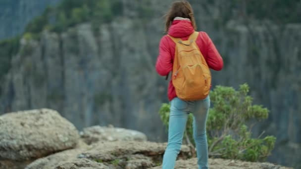Rückansicht Des Touristenmädchens Roter Jacke Mit Rucksack Wandert Auf Der — Stockvideo