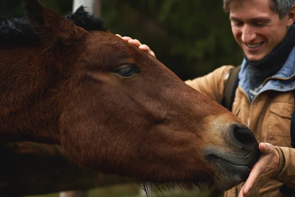 Close Had Brown Horse Licking Hand His Owner Portrait Happy — Stock Photo, Image