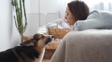 happy joyful smiling woman lying on bed in bedroom and playing with her cute funny welsh corgi dog. friendship with pets, games together and leisure. domestic animals in peoples life