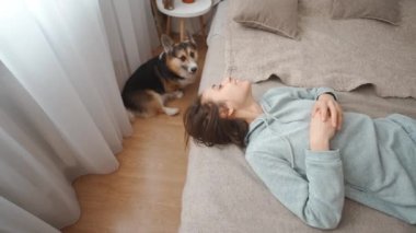 top view happy joyful smiling woman lying on bed in bedroom and playing with her cute funny welsh corgi dog. friendship with pets, games together and leisure. domestic animals in peoples life