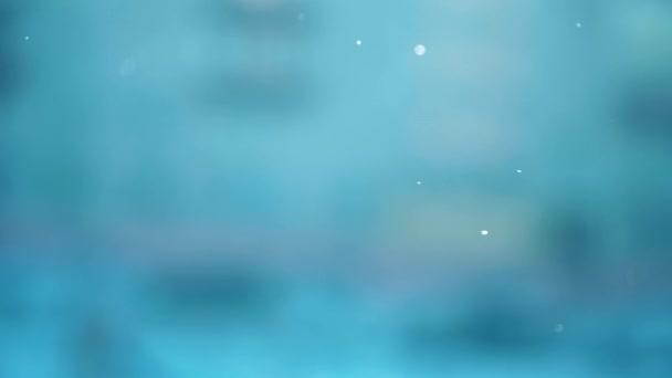 Абстрактна Зимова Сцена Літаючими Сніжинками Тлі Будинків Ясний Зимовий День — стокове відео