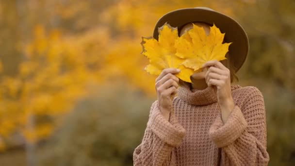 Autumn Portrait Beautiful Smiling Woman Wearing Wrown Dress Sweater Hat — Vídeos de Stock