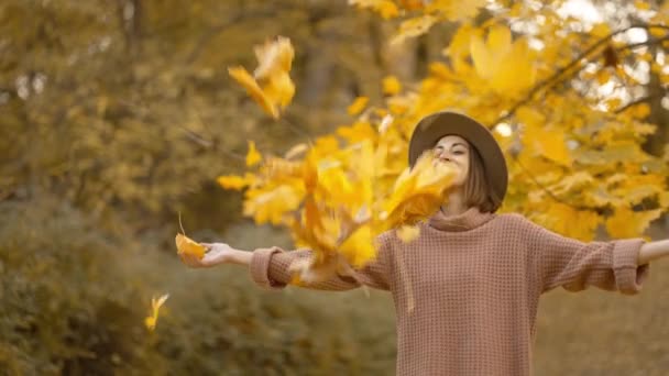 Slow Motion Autumn Portrait Attractive Smiling Woman Wearing Brown Dress — 图库视频影像