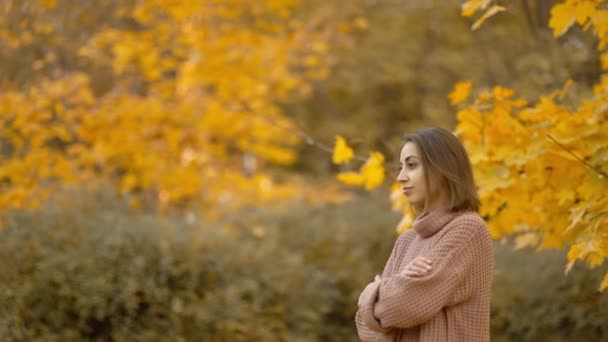 Stunning Young Brunette Woman Autumn Forest Yellow Foliage Stylish Attractive — Vídeos de Stock