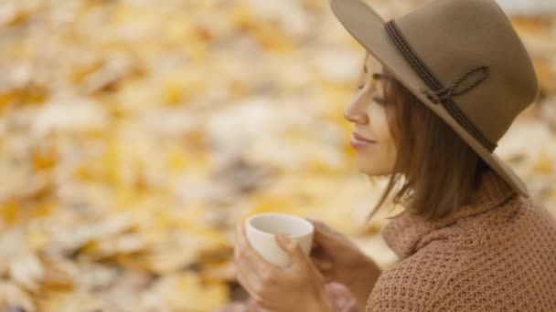 Parlak Sonbahar Parkında Sarı Yapraklı Piknikteki Büyüleyici Mutlu Esmer Kadının — Stok video