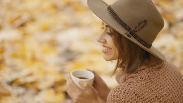 Close Rear View Charming Happy Brunette Woman Picnic Bright Autumn — Vídeo de stock