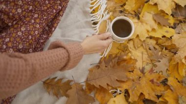 slow motion portrait of charming happy brunette woman at picnic in bright autumn park with yellow foliage. stylish attractive girl sits on blanket in park at warm fall day and drinks coffee.