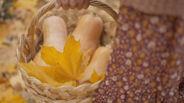 slow motion close up charming woman walks in bright autumn park with yellow foliage. stylish vintage woman in park at warm fall day holds wicker basket with orange pumpkins