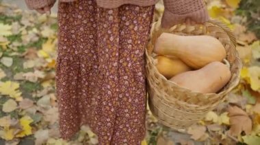 slow motion close up charming woman walks in bright autumn park with yellow foliage. stylish vintage woman in park at warm fall day holds wicker basket with orange pumpkins