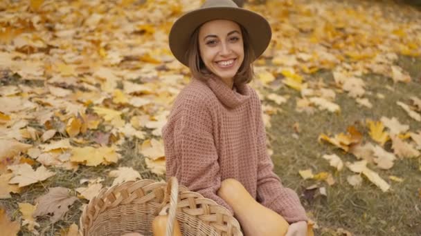 Slow Motion Close Charming Woman Walks Bright Autumn Park Yellow — Wideo stockowe