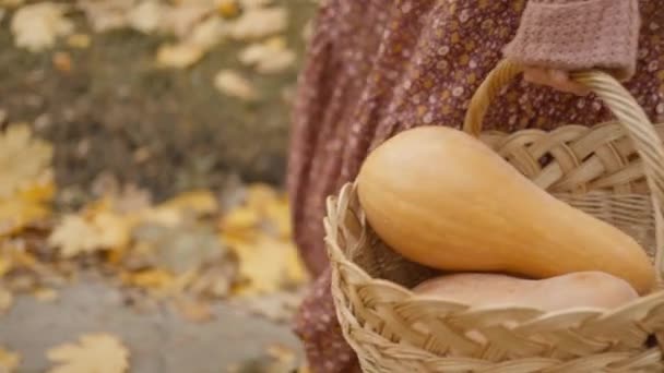 Zpomalit Film Zblízka Okouzlující Žena Kráčí Jasném Podzimním Parku Žlutým — Stock video