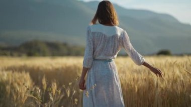 Beautiful girl in long white dress on the wheat field enjoying golden sunset outdoors. Her hand touching of spikes