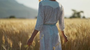 Rear view elegant woman enjoying nature view of mountains. Lady wearing white dress standing in golden field of barley or wheat crops at sunset