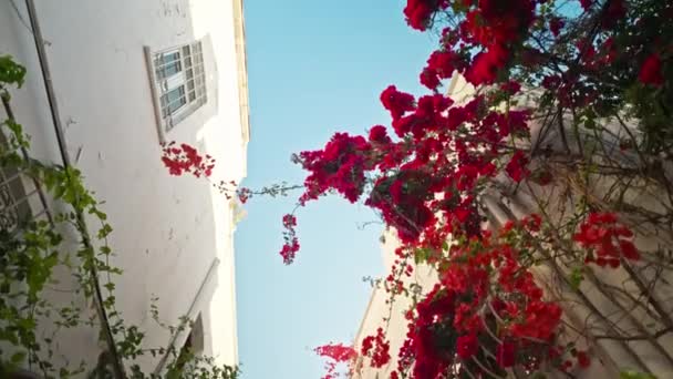 Vackra Blommiga Fasader Byggnad Marmaris Turkiet Gångväg Leder Till Marmaris — Stockvideo