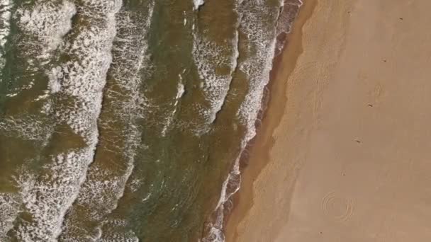 Playa Tortuga Iztuzu Arenosa Tropical Mar Azul Tranquilo Turquía Clip — Vídeo de stock