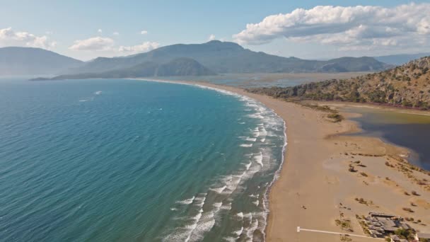 トロピカル砂浜伊豆亀ビーチと穏やかな青い海 トルコ 無限の波を持つ熱帯の空のビーチの自然なシームレスにループ可能なクリップ — ストック動画