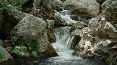Yazın vahşi Freen ormanında, az şelalesi ve kayaları olan bir nehir akıntısı. Yazın güzel vahşi doğa.