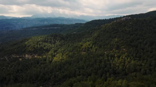 Beautiful Scenic Aerial Landscape Green Pine Woods Mountain Ridge Snow — Stock Video