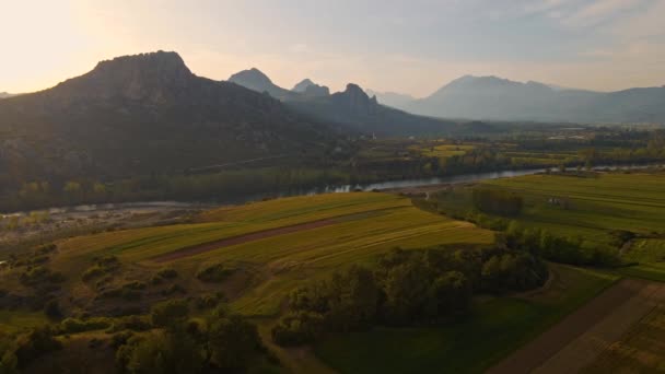Lot Dronem Nad Zielonym Polem Pszenicy Wsi Turcji Powietrzna Scena — Wideo stockowe
