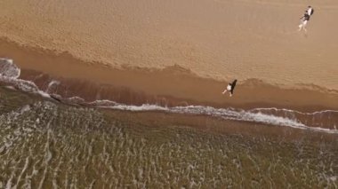 Güneş doğarken, İztuzu Kaplumbağa Sahili, Türkiye 'de tropikal beyaz kum plajı üzerinde uçan hava manzarası. Güneşli bir günde kumsalda yürüyen insanlar. Yaz tatili ve turizm