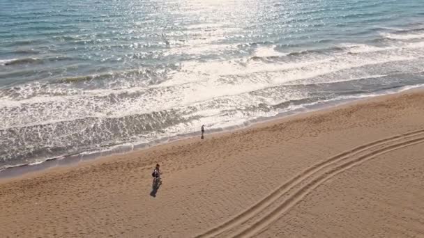 Veduta Aerea Che Sorvola Spiaggia Tropicale Sabbia Bianca All Alba — Video Stock