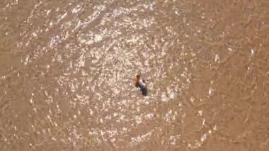 Türkiye 'nin Akdeniz kıyısındaki güzel pembe kumlu plajda yürüyen sevimli turistler üzerinde daire şeklinde bir uçuş.