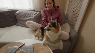 pretty smiling tender girl feeds her lovely welsh corgi dog from hands siiting on couch at cozy home. friendship with pets and domestic life. funny animals