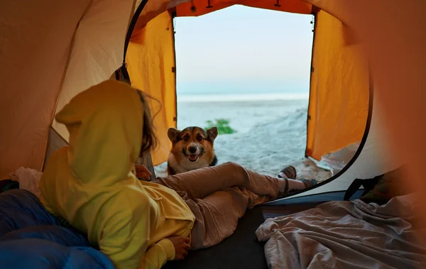 テントでリラックスした女性観光客で 息をのむような自然の景色を眺める チャーミングなコルギの犬はテントを見つめています 旅のためのコンパニオンシップと冒険 — ストック写真