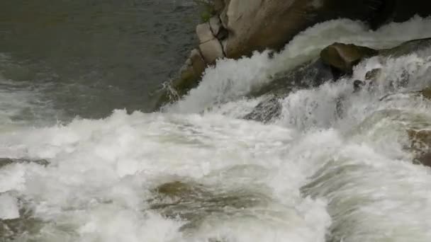 Zeitlupe Nahaufnahmen Von Weißem Schaum Probiy Wasserfall Prut River Yaremche — Stockvideo