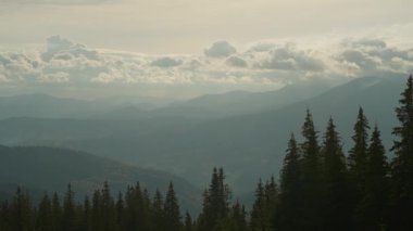 Güzel, sisli, karanlık ormanlı bir dağ alçak bulutların arasında. Esrarengiz yoğun sisteki kozalaklı ağaçlarla kasvetli atmosfer manzarası.