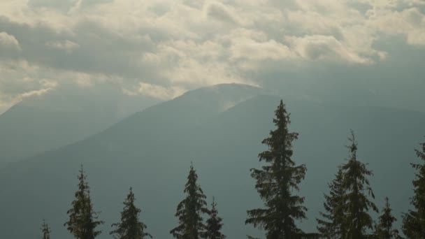Прекрасний Туманний Краєвид Темним Лісом Горі Серед Низьких Хмар Сумовиті — стокове відео