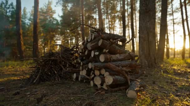 Zbliżenie Filmowe Ujęcie Stosu Drewna Opałowego Kominka Przyrodzie Szeroki Kąt — Wideo stockowe