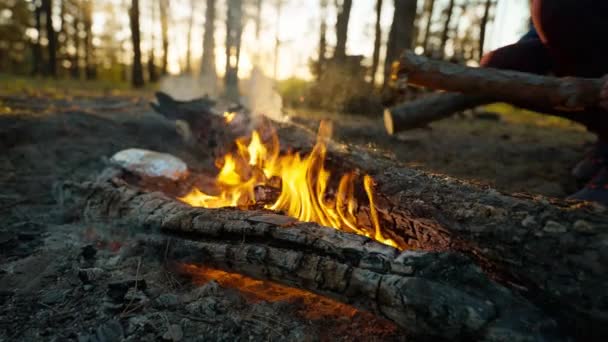 Közelkép Női Kéz Tett Tűzifát Máglya Égő Füst Erdőben Este — Stock videók