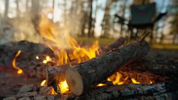 傍晚时分 森林里的篝火燃烧着浓烟 起火的篝火 火焰在自然界广角镜头 慢动作 野外森林野餐 — 图库视频影像