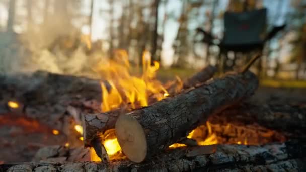 Közeli Tábortűz Füsttel Erdőben Esténként Lángoló Tábortűz Kandalló Természetben Nagy — Stock videók