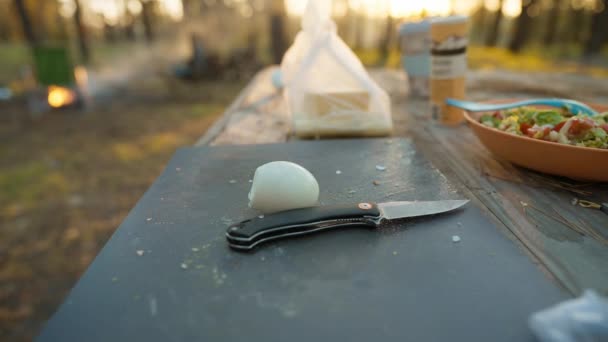 自然の中で屋外でピクニック 屋外で料理をする女性 秋の森でサラダのために卵を切るクローズアップ女性の手 週末の旅と自然の中でキャンプ — ストック動画