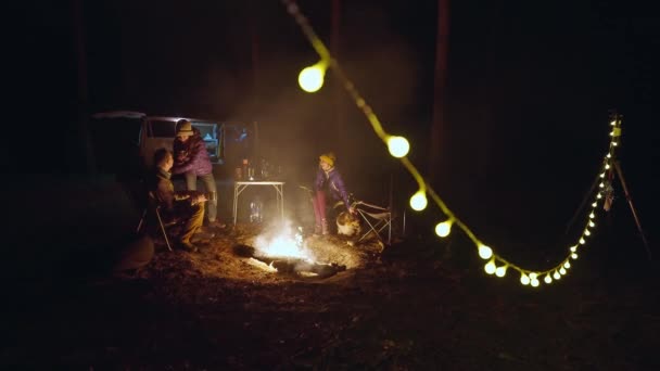 キャンプファイヤーの近くに座っている友人のグループは 夜にキャンプで喫煙キャンプファイヤー 秋の夜の松の森で屋外でピクニックする友人 車の旅と自然の中での休暇 — ストック動画