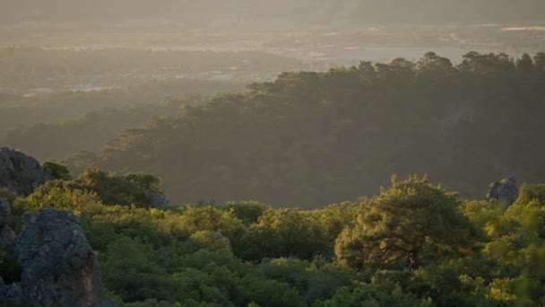 美丽的风景秀丽的晨景 有绿林 山丘上有灌木 日出时背景是岩石山脊 — 图库视频影像