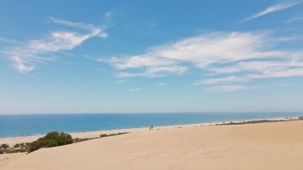 Воздушные Съемки Пара Счастливых Путешественников Бегущих Песчаные Дюны Красивом Пляже — стоковое видео