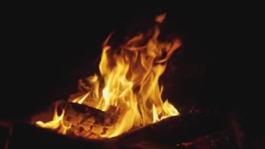 Gece sahnesi. Akşamları Orman 'da yanan şenlik ateşi. Alevli Kamp Ateşi. Doğadaki Şömine, Ağır Çekim. Açık havada ormanda piknik.