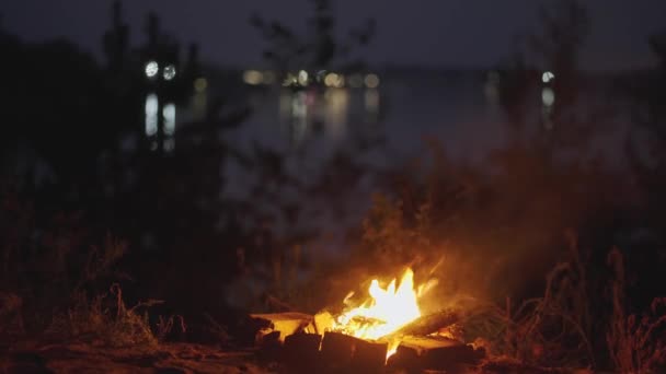 傍晚时分 森林里的篝火燃烧着浓烟 起火的篝火 自然中的萤火虫 慢动作 野外森林野餐 — 图库视频影像
